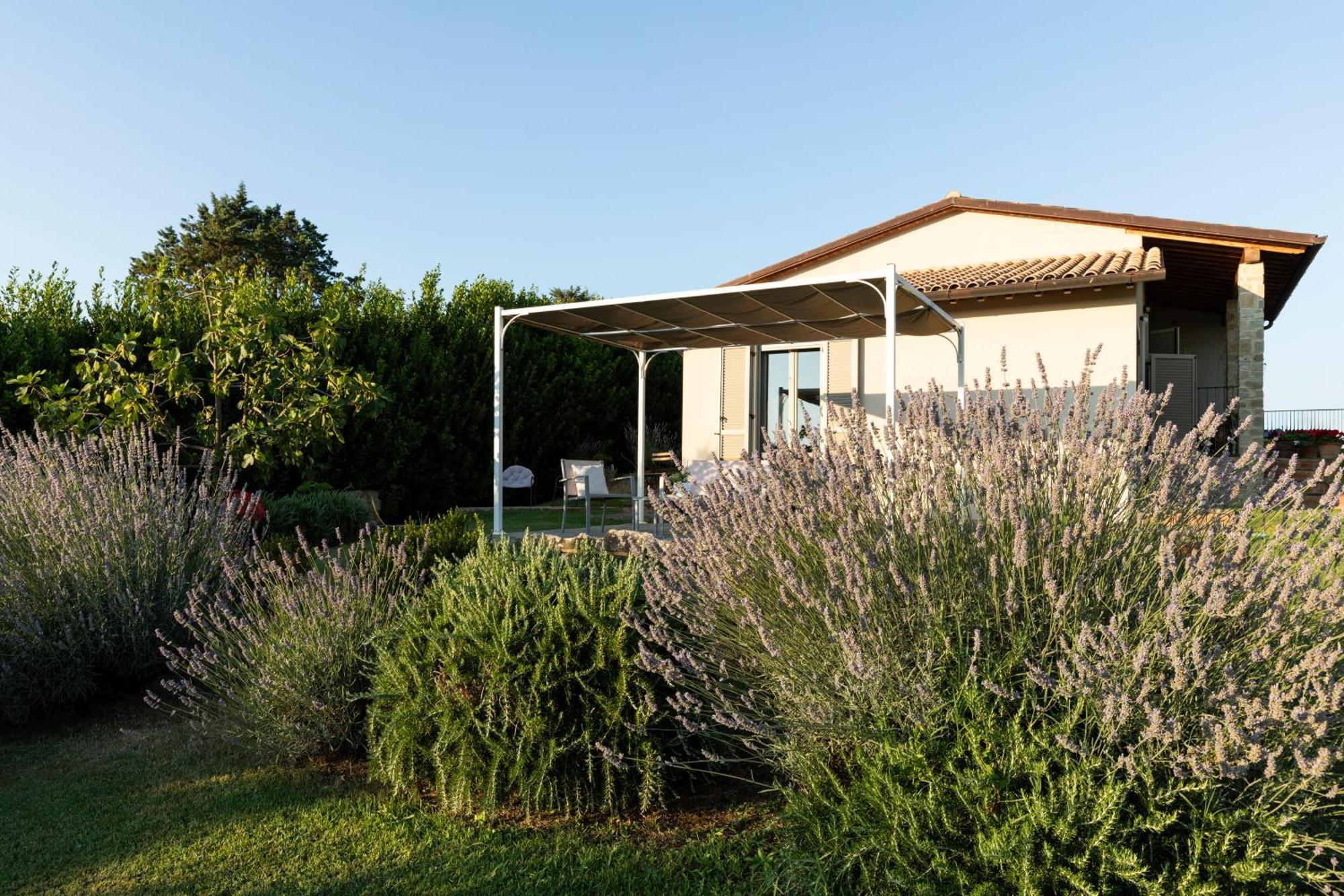 Nonno Gino Suite Monte San Savino Exterior foto